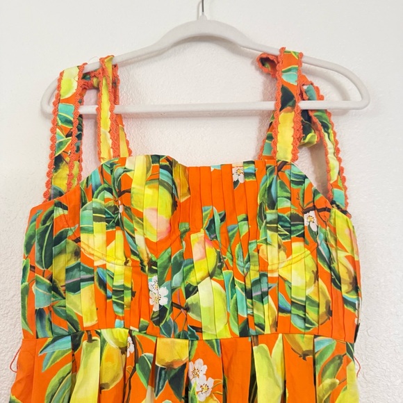 NWT FARM Rio Chic Pears Belted Mini Dress - Picture 8 of 13